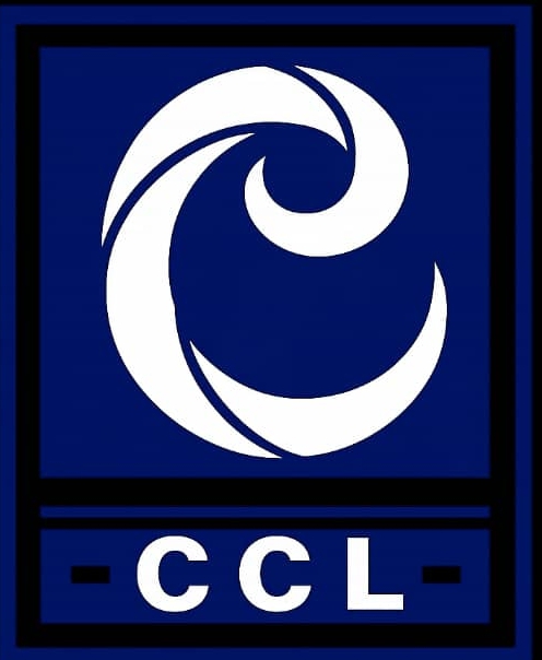 Cynosure Construction